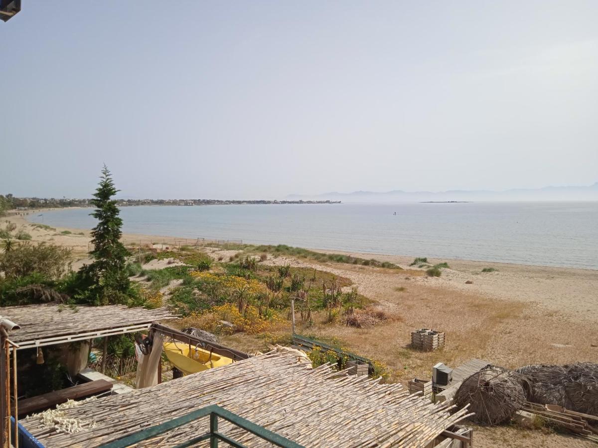 Apartment On The Beach Artemida  Exterior foto